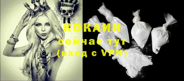 шишки Покров