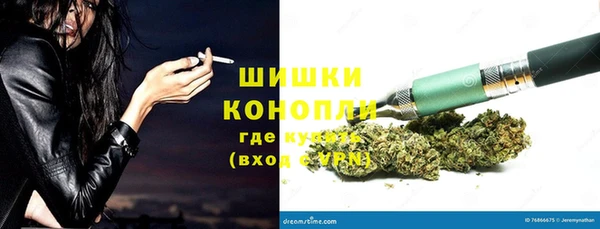 шишки Покров