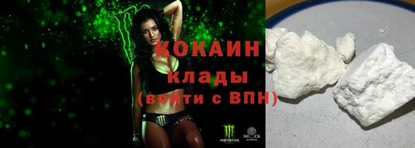 шишки Покров