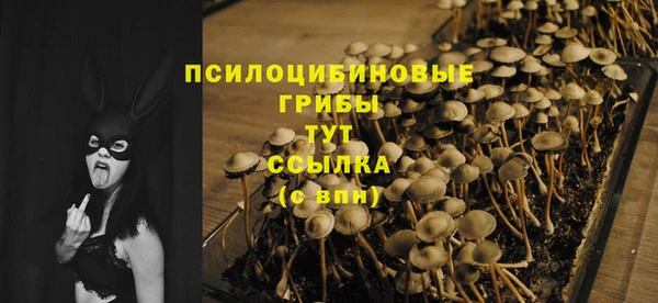 прущая мука Покачи
