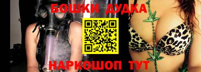 МДПВ Гатчина