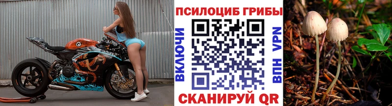 Галлюциногенные грибы Cubensis mega ссылки Черкесск