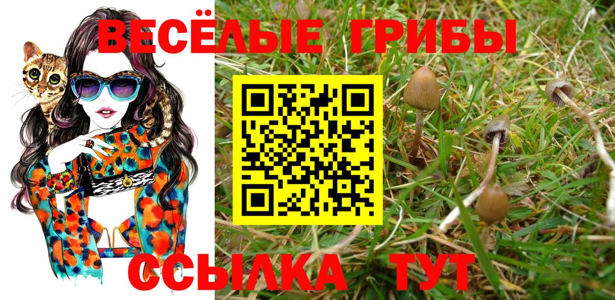 Псилоцибиновые грибы MAGIC MUSHROOMS Черкесск