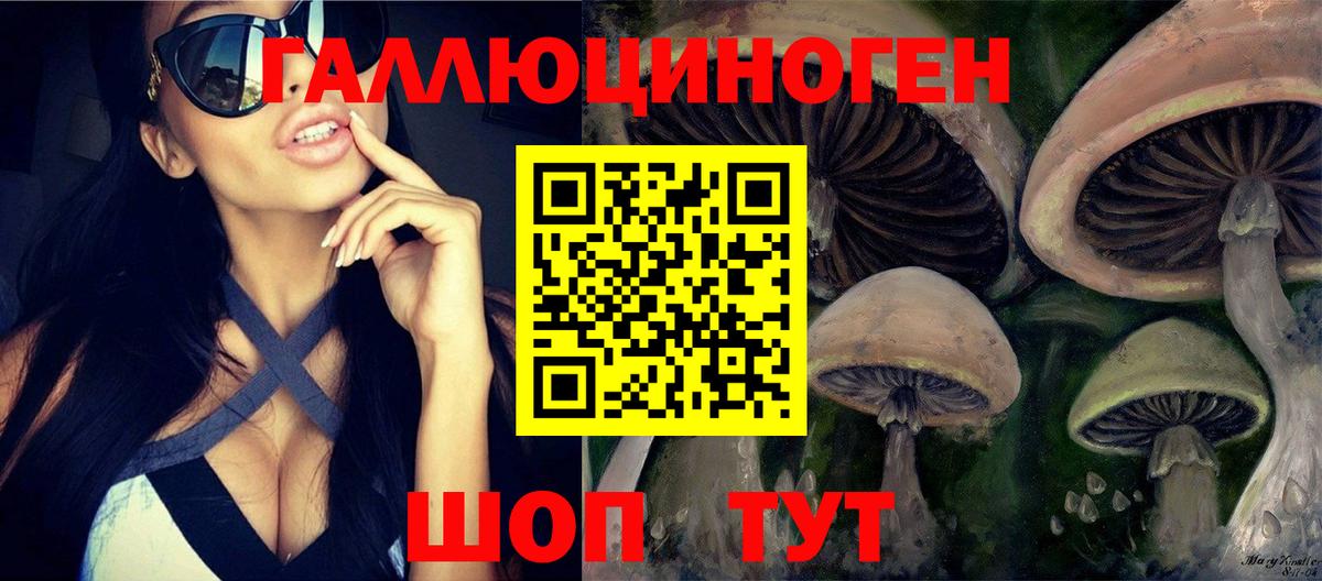 где найти   Вход с VPN  Черкесск  Псилоцибиновые грибы MAGIC MUSHROOMS 